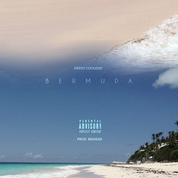 Drevo Coolidge - Bermuda artwork