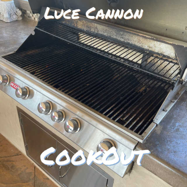Luce Cannon - Cookout (Artwork)