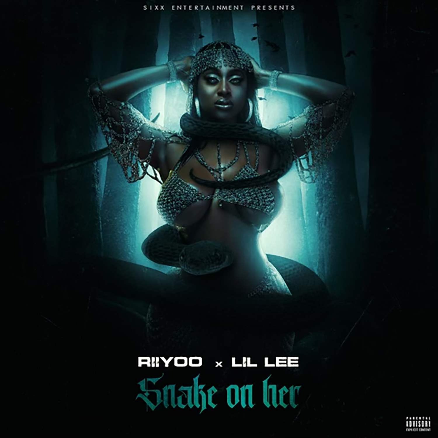 Riiyoo & Lil Lee - Snake On Her Music Service